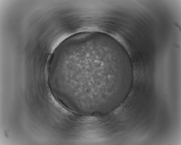 X0000102771382200809021020