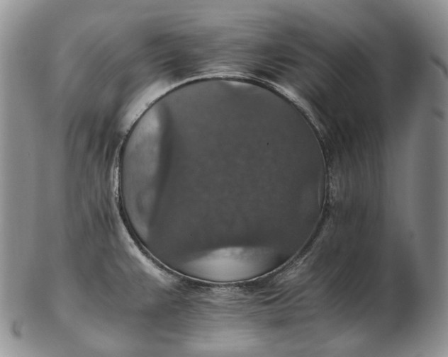 X0000102771383200809021020