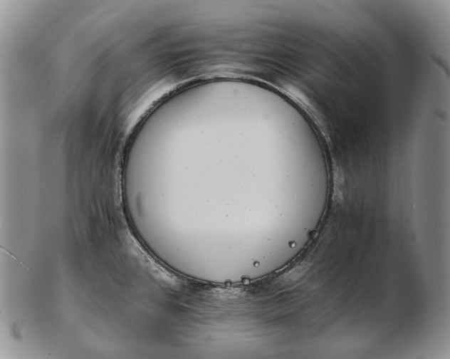 X0000102771384200809021020