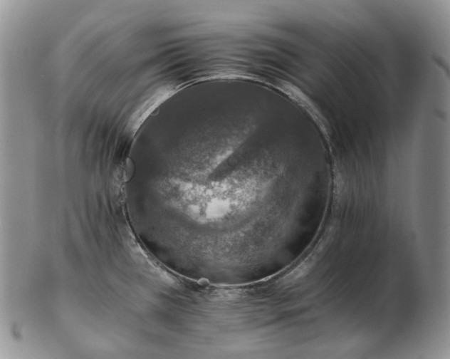 X0000102771385200809021020