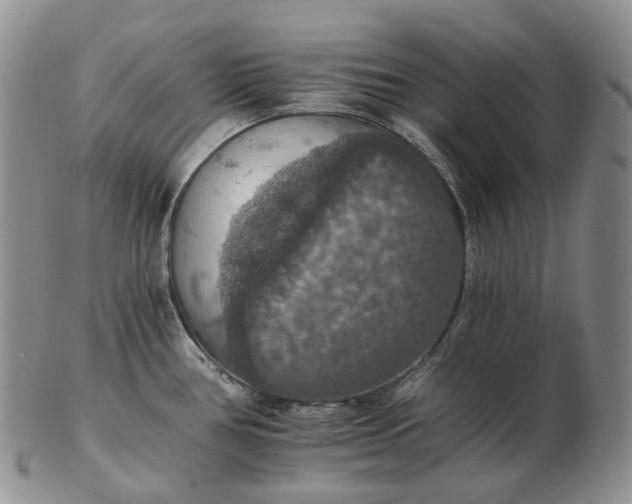 X0000102771386200809021020