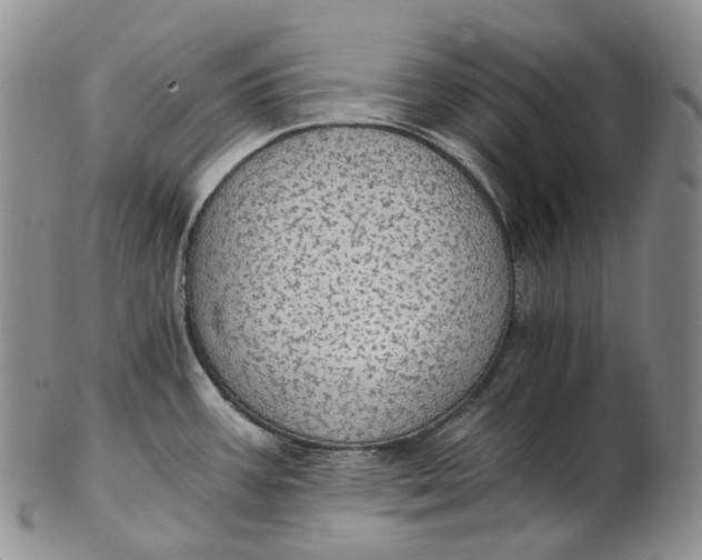 X0000102771387200809021020