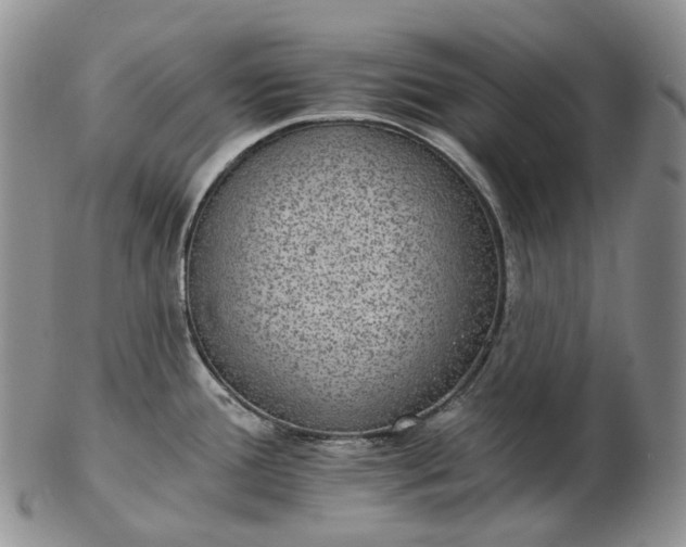 X0000102771388200809021020