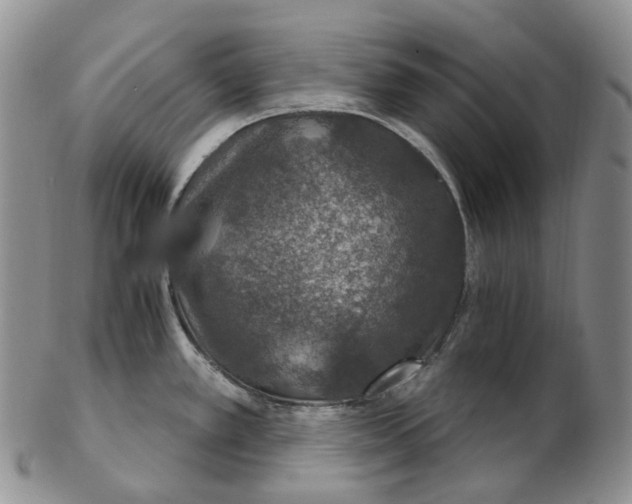 X0000102771389200809021020