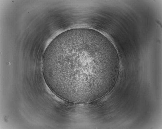 X0000102771390200809021020