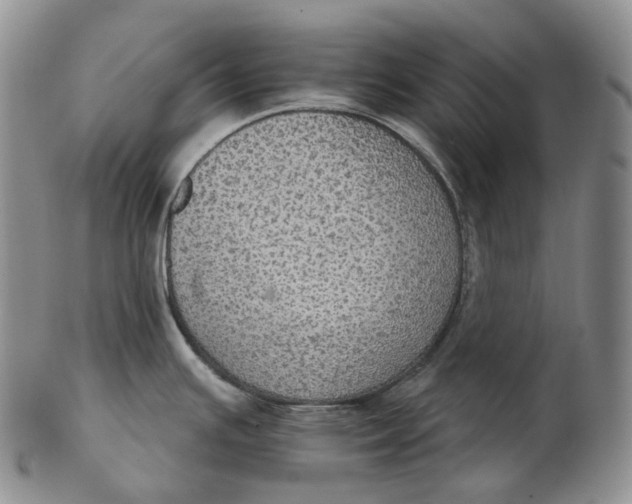 X0000102771391200809021020