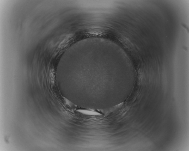 X0000102771394200809021019