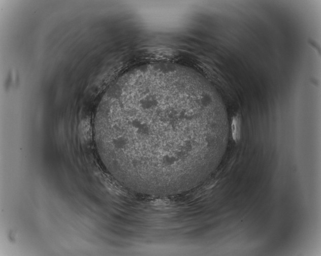 X0000102771395200809021019