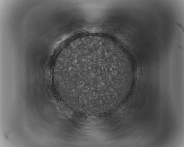 X0000102771398200809021019