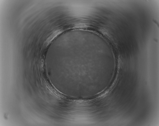 X0000102771401200809021019