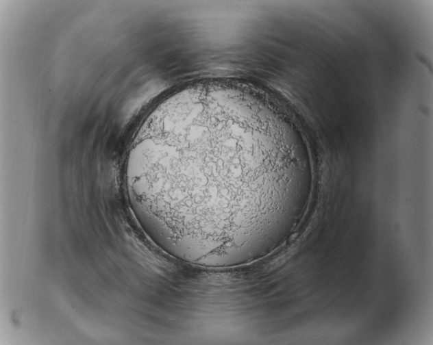 X0000102771402200809021019