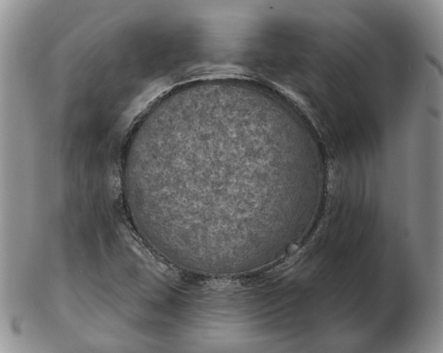 X0000102771407200809021019