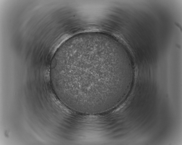 X0000102771409200809021019