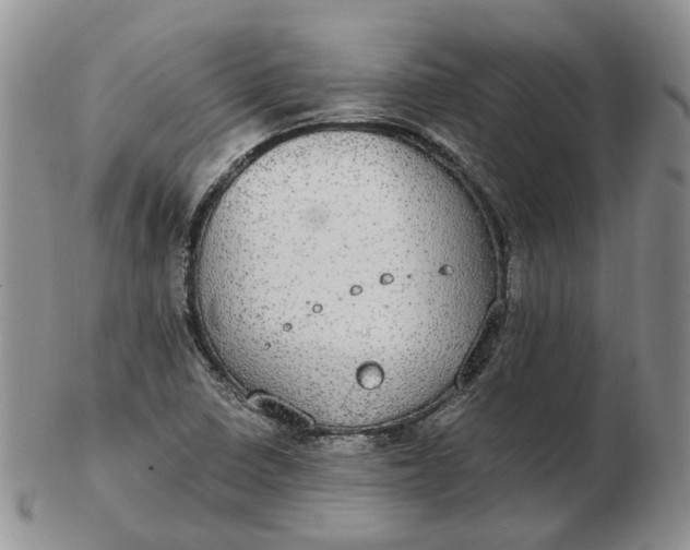 X0000102771410200809021019