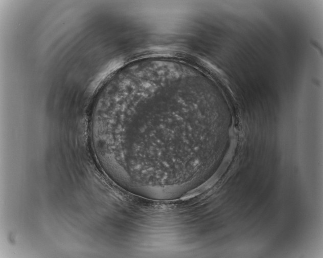 X0000102771411200809021019