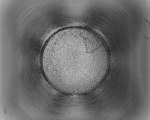 X0000102771412200809021019