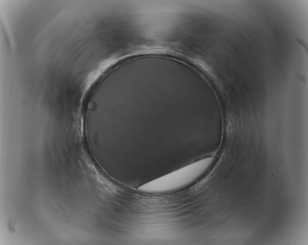 X0000102771414200809021019