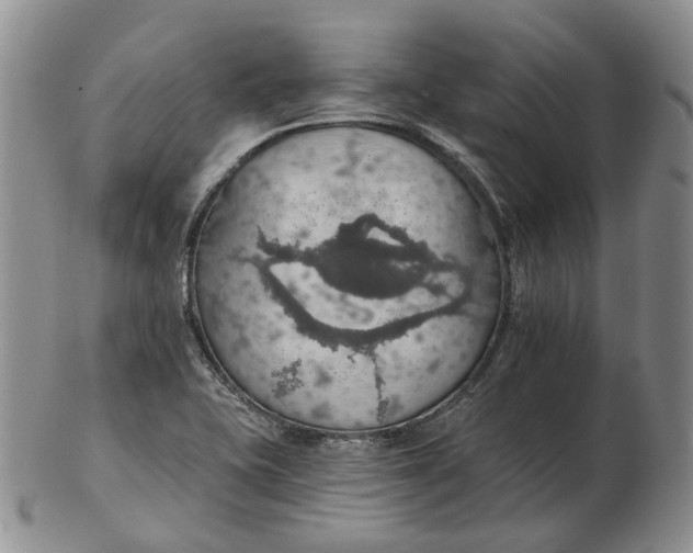 X0000102771415200809021020