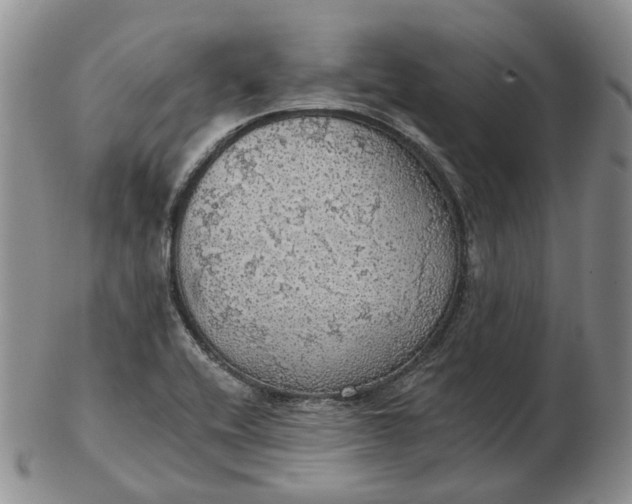 X0000102771416200809021020