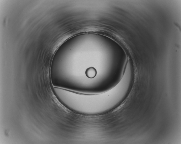 X0000102771417200809021020