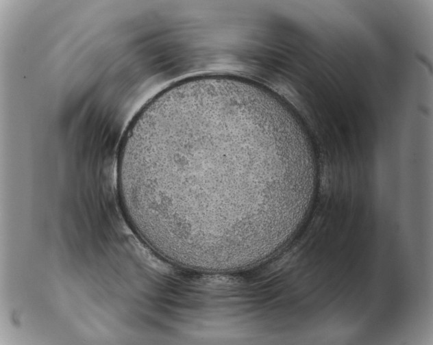 X0000102771420200809021020