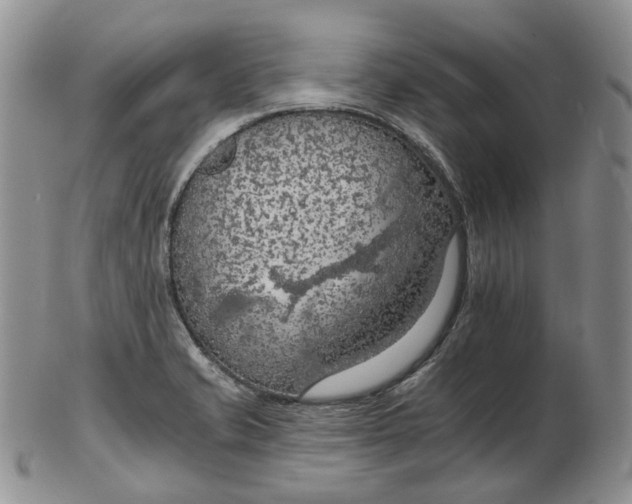 X0000102771421200809021020