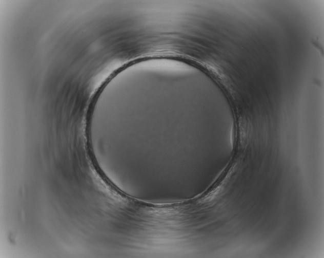 X0000102771422200809021020