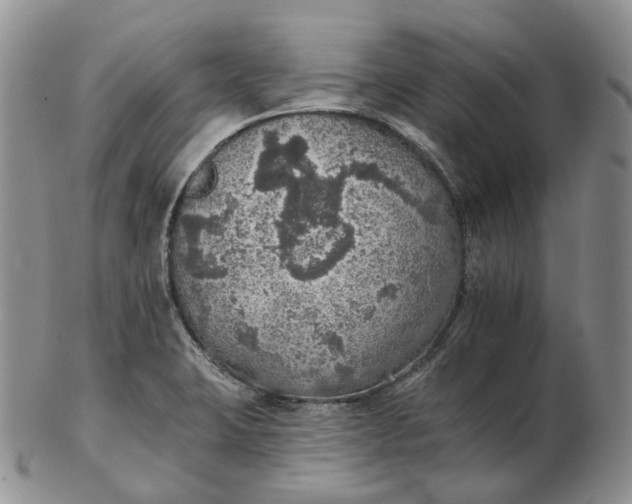 X0000102771423200809021020