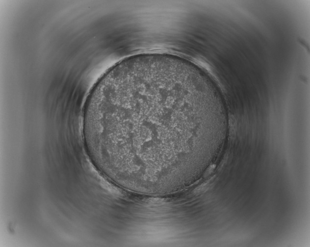 X0000102771424200809021020