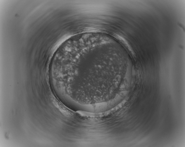 X0000102771427200809021020