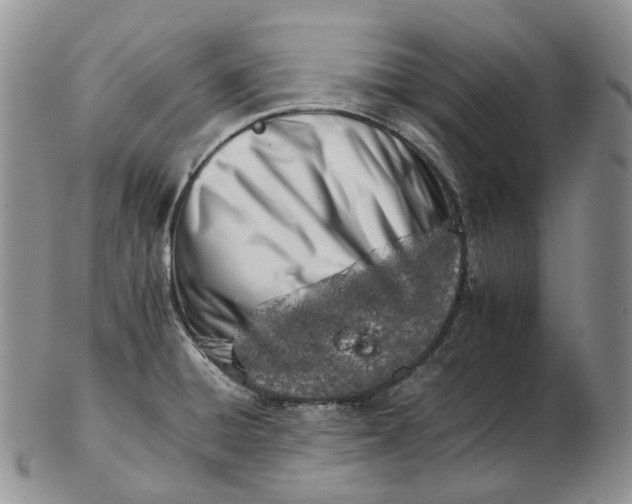 X0000102771428200809021020