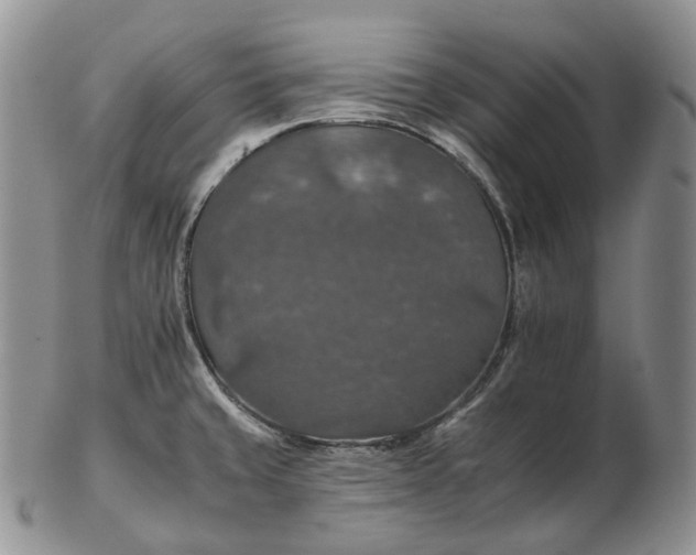 X0000102771429200809021020