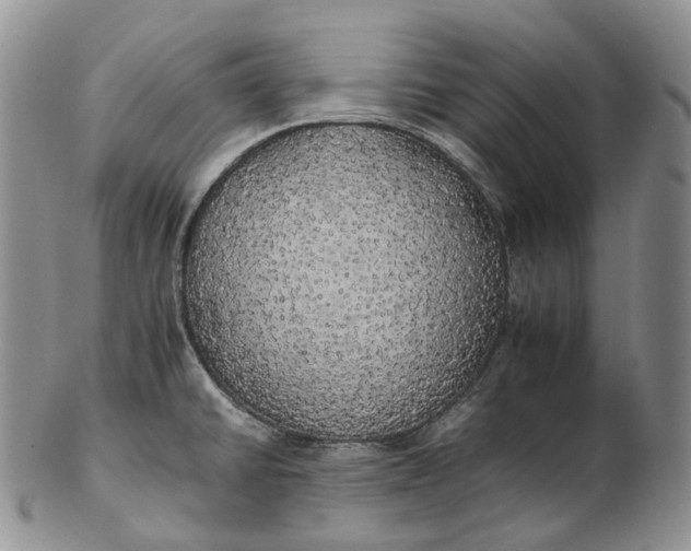 X0000102771430200809021020