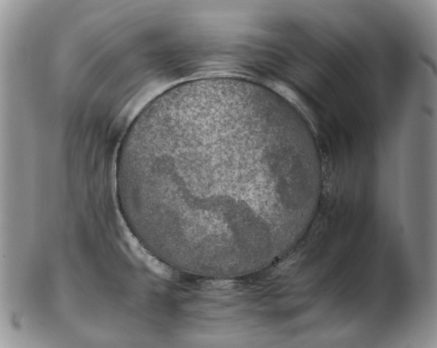 X0000102771431200809021020