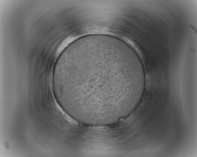 X0000102771432200809021020