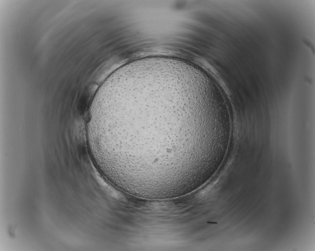 X0000102771433200809021020