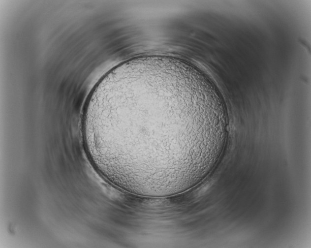 X0000102771434200809021020