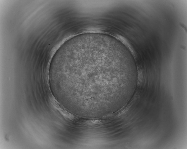 X0000102771435200809021020