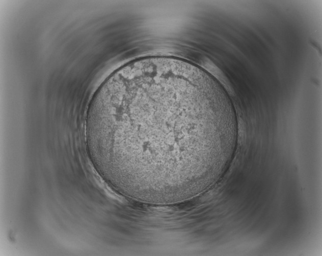 X0000102771436200809021020