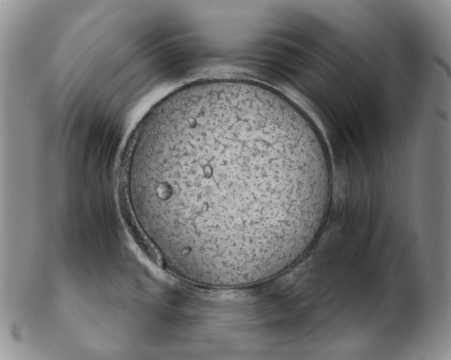 X0000102771437200809021020