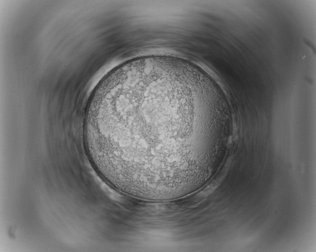 X0000102771438200809021020