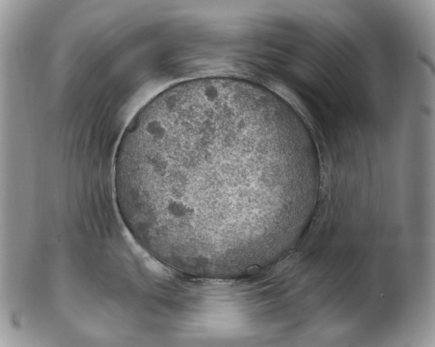 X0000102771439200809021020