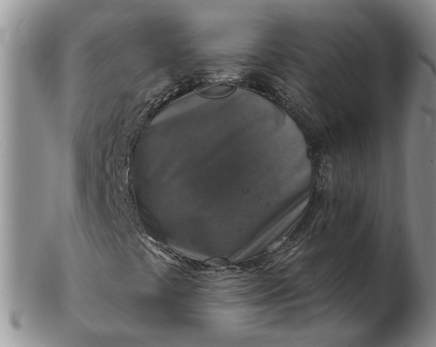 X0000102771441200809021019