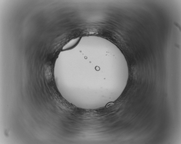 X0000102771442200809021019