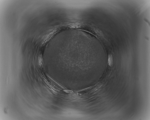 X0000102771444200809021019