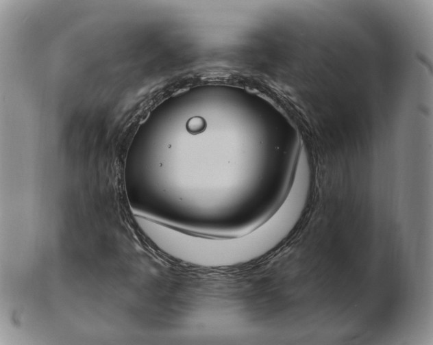 X0000102771445200809021019