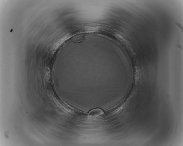 X0000102771449200809021019