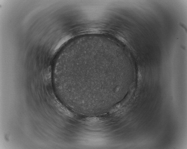 X0000102771450200809021019