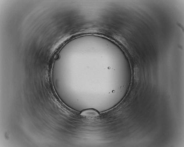 X0000102771452200809021019