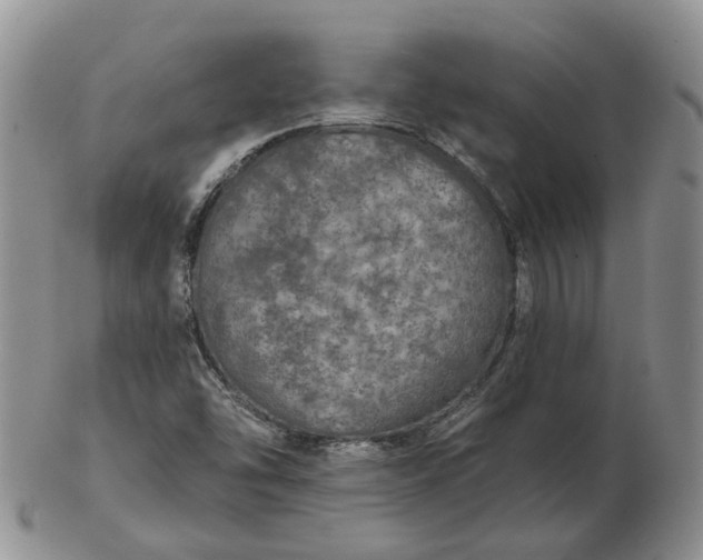 X0000102771454200809021019